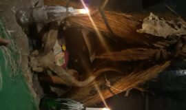 Reconciliation love spells +1 (862) 626-6441 in Virginia Beach, VA To Get Back Ex Lover Black Magic cleansing.