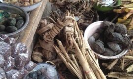 Most Strongest Spells Caster “+27826623707” SANGOMA in Gain City, Changi City Point, Changi, Singapore, Bedok, Kampong Ubi, Gey Lang, Hougang, Boon Keng, Bedok, Kallang, Marymount, Toh Tuck, Bukit Timah, Clementi, Holland, Toa Payoh, Guilin, Jurong East, Novena, West Mall, Benoi Sector, Boon Lay, Teab Gardens,