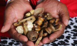 ⓶:@# SPELL CASTER [[+27•82″66″23″7-07]] SANGOMA/ A TRADITIONAL HEALER AND A SPIRITUAL HEALER in Pretoria, Diepsloot, Durban, Sasolburg, Botshabelo, Bothaville, Potchefstroom, Klerksdorp, Secunda, Middleburg, Ermelo, Witbank, Mafikeng, Lichtenburg, Rustenburg, Nelspruit, Capetown, Ladysmith, Ladybrand, Groblersdal, Secunda, Middleburg, Newcastle, Polokwane, Port Elizabeth, East London, Ermelo, Kimberly, Mthatha, Queenstown,