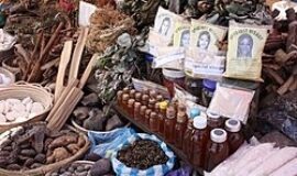 GLOBALLY KNOWN +27826623707 TRADITIONAL {{SPIRITUAL HEALER IN PARAGUAY, PERU, PHILLPPINES, PORTUGAL, PUERTO RICO, RUSSIAN MEXICO, MONETT, NEOSHO, NEW MADRID, ROLLA, SAINT, CHARLES, SAINT, JOSEPH, SAINT, LOUIS, SAINTE, TORBAY LINCOLN SHEFFIELD BASINGSTOKE BEDFORD WORCESTER FREMONT, GRAND, ISLAND, HASTINGS, KEARNEY, LINCOLN, MCCOOK, MINDEN, NEBRASKA CITY