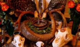 True Love Spells Caster ╬ ✯✯ +27608019525 ╬ ✯✯ SPIRITUAL HEALER/ SANGOMA /GAY & LESBIAN Spell/ Death & Revenge Spells in South africa ,Colombia, Costa Rica Croatia, Cyprus, Czech , Republic, Denmark, Ecuador, Egypt, El Salvador , Estonia, Finland, France, Germany, Greece, Gua m, Guatemala, South Africa, Guyana Honduras, HongKong, Hungary,