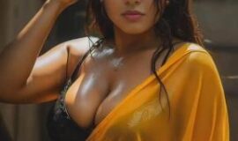 Call Girls Near 9811O14745 Lemon Tree Premier Hotel Aerocity Escort Service