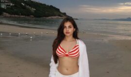 Pari