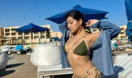 Aarvi