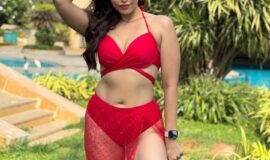 Elite Class Indian Escort Girls in Dubai +971588427980