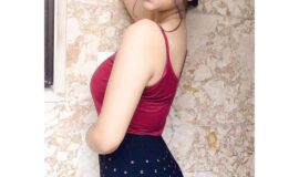 9582086666 Call Girls in Palam Vihar, Delhi – Call Girls Services