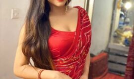 Noida Sector 88, Noida +91-9711108085 Beautiful Girls Provide
